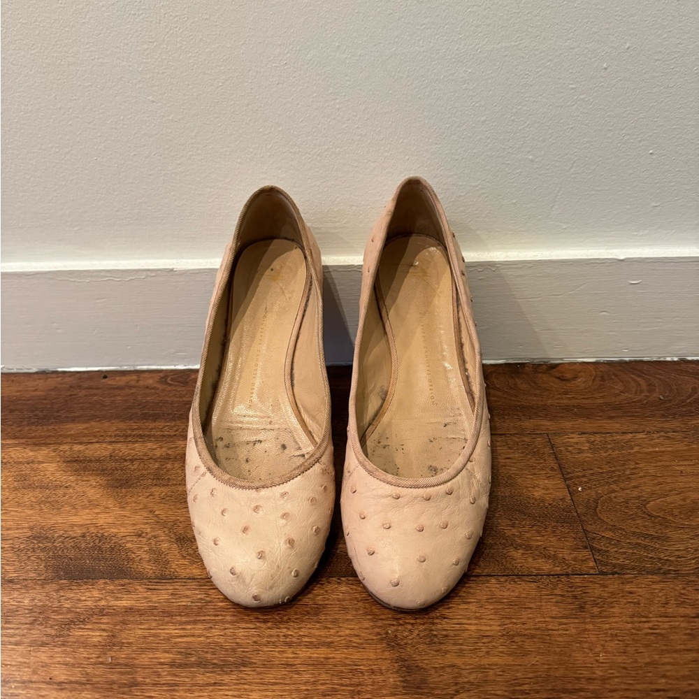 Giuseppe Zanotti Pink Flats